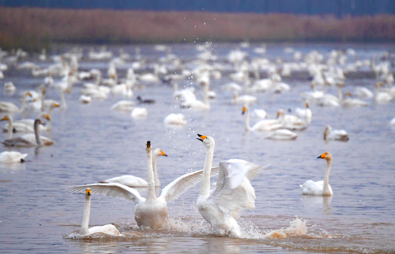 促進人與自然和諧共生——各地貫徹落實黨的二十大精神推動綠色發(fā)展觀察