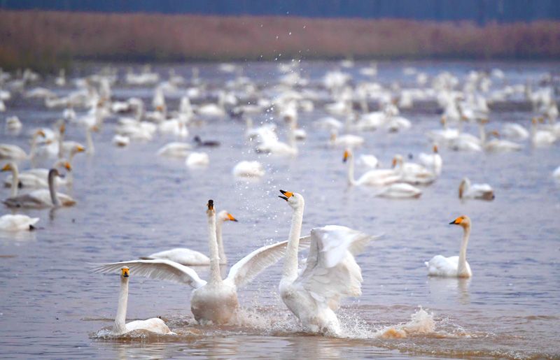 促進(jìn)人與自然和諧共生——各地貫徹落實(shí)黨的二十大精神推動(dòng)綠色發(fā)展觀察